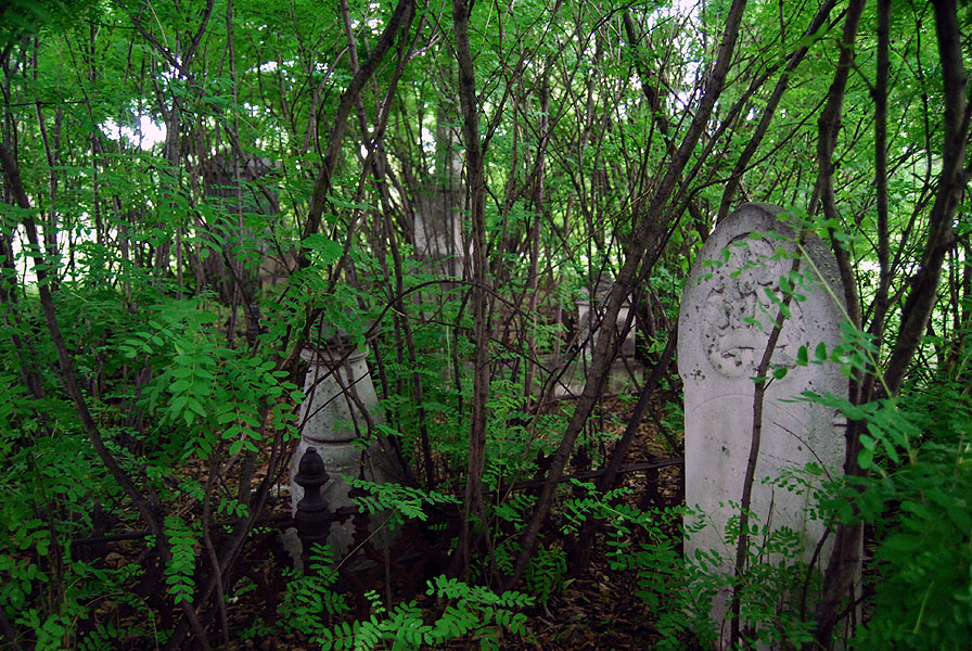 Brookside Cemetery: Enshrouded 2