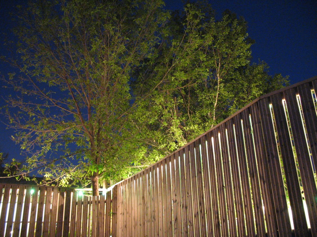 Night/Fence/Tree