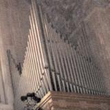 basilica-pipe-organ-thumb.jpg
